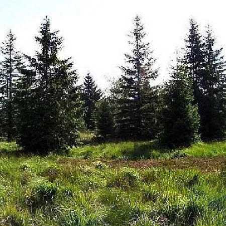 2 Jáchymov